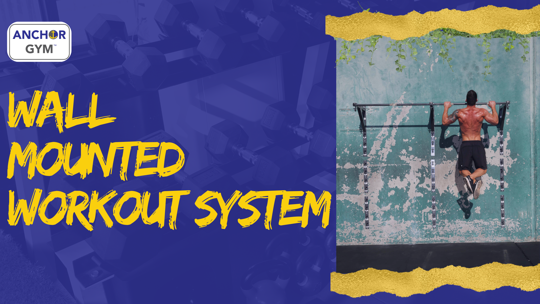 Mount Workout Routine Top Wall Mount Workout Systems for Home Gym | Best 2024 Picks – The ...