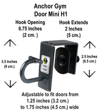Anchor Gym-Door Mini H1