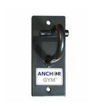 Anchor Gym - Single Anchor Wall Mount