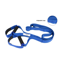 Anchor Gym-Body Weight Strap