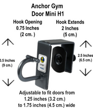 Anchor Gym-Door Mini H1 Body Weight Strap Bundle