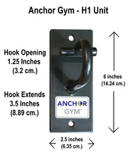 Anchor Gym - Single Anchor Wall Mount